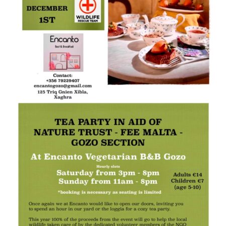 Tea Party in aid of Nature Trust – FEE Malta – Gozo Section