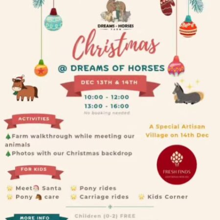 Christmas at Dreams of Horses Farm