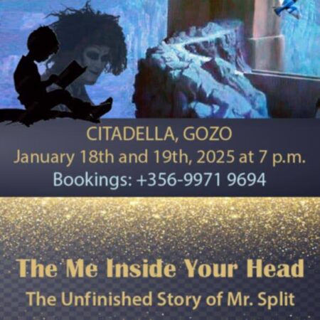 The Me Inside Your Head – The Unfinished Story of Mr. Split