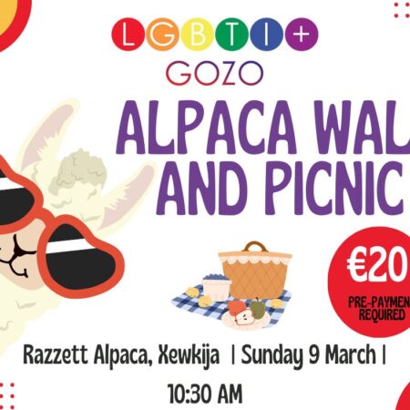 Alpaca Walk and Picnic